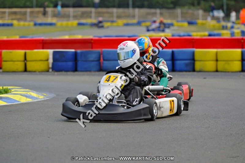 DSC_ (1465).jpg